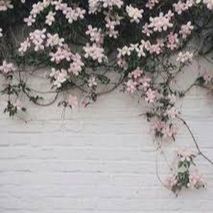 Meet your Posher, Kendra